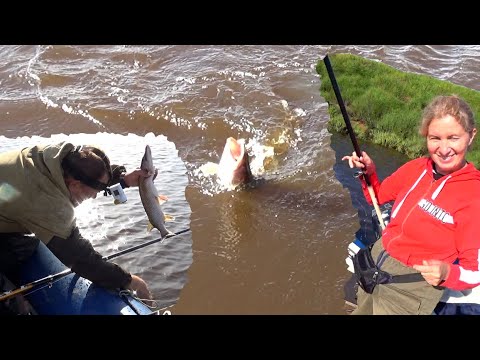 Видео: НАДУБАСИЛИ ЩУКУ в рекордно сжатый срок!