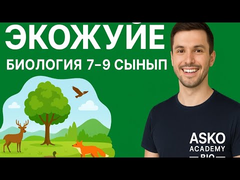 Видео: кожүйе түсінікті тілде | 7–9 сынып биологиясы | ASKO Academy BIO