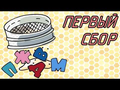 Видео: Первый сбор ПЖДВМ. Инкубатор для разведения восковой моли с нуля. Настойка огневка. Важные советы