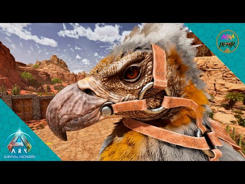 Видео: ПОЧТИ ТОП АРГЕНТЫ НА КАРТЕ VALGUERO ARK ASCENDED