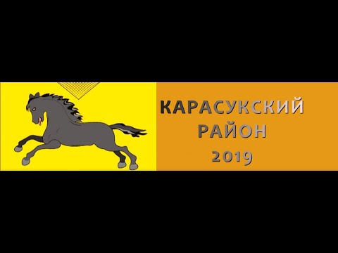 Видео: Карасукский район 2019