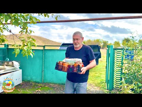 Видео: Привезли тёщу на хутор и уехали отдыхать.