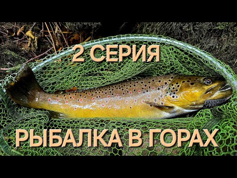 Видео: Форелевая Рыбалка в Горах Франции - Ловля Ручьевой Форели на спиннинг #рыбалка #спиннинг #форель