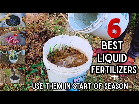 Видео: Начинаете садоводство? Не пропустите эти 6 мощных самодельных удобрений!