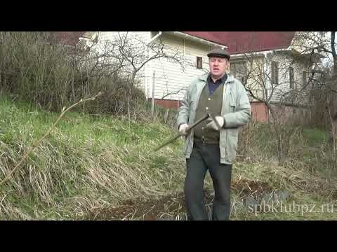 Видео: 2 Работа плоскорезом Фокина