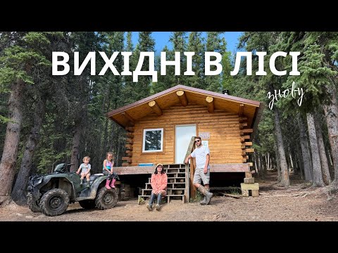 Видео: відпочиваємо в БЕЗКОШТОВНІЙ ХАТІ на АЛЯСЦІ/ справжня дика Аляска