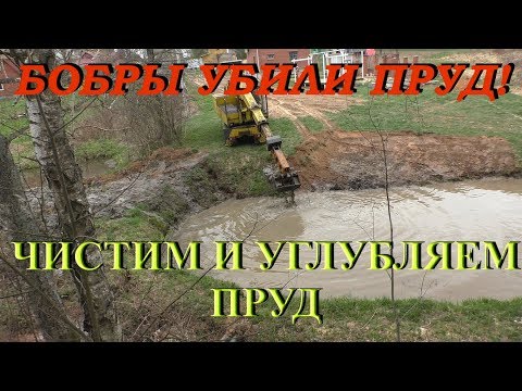 Видео: Ё-моЁ! БОБРЫ УБИЛИ МОЙ ПРУД! Чистим и углубляем водоем! Beavers killed the pond! We clean it!