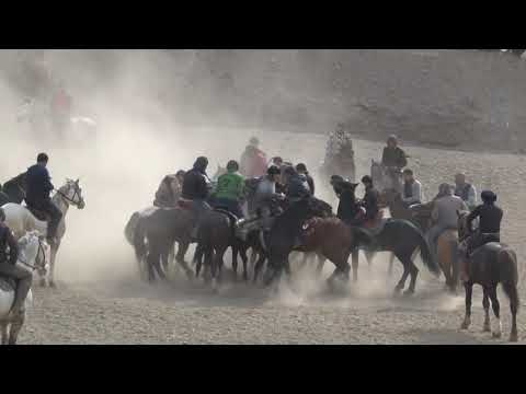 Видео: УЛОК  СУХ  КУПКАРИ