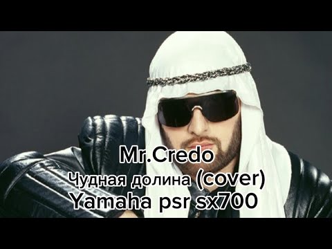 Видео: Mr. Credo - Чудная долина (cover) Yamaha psr sx700