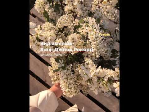 Видео: Вид имеешь-Sanji,Джиос,Рекард(slowed&reverb)
