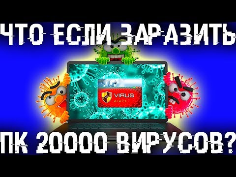 Видео: Что если заразить компьютер 20000 BИPУCAМИ?