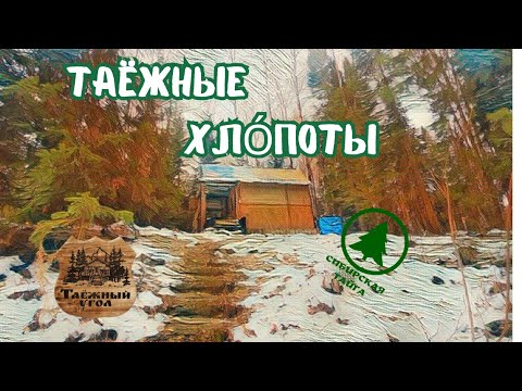 Видео: ТАЁЖНЫЕ ХЛОПОТЫ,СТРОЙКА НА ТАЁЖНОЙ ЗАИМКЕ