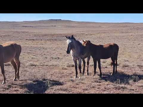 Видео: 7 октября 2025 г.