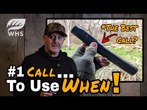 Видео: Когда лучше всего использовать манок на оленя