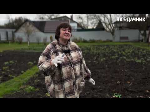 Видео: Боверихелп® - видеоинструкция по применению от производителя