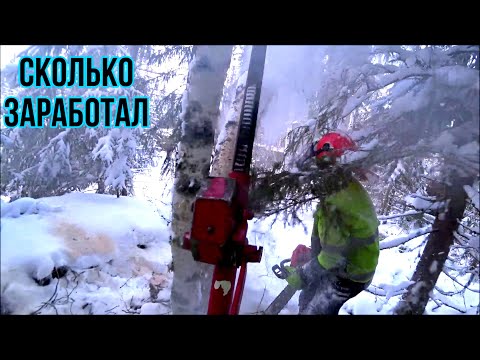 Видео: Такую работу я люблю.  Финляндия. Зима. и Дрова