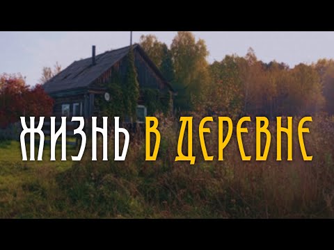 Видео: 🌿 Деревенская рутина // Сбор мяты // Новая локация и уборка сарая