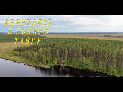 Видео: 30 км на лодке, или Добро пожаловать в рай! 😅