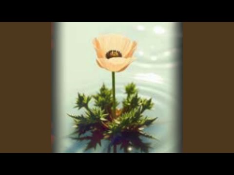 Видео: Маковое молоко (feat. Еледэна)