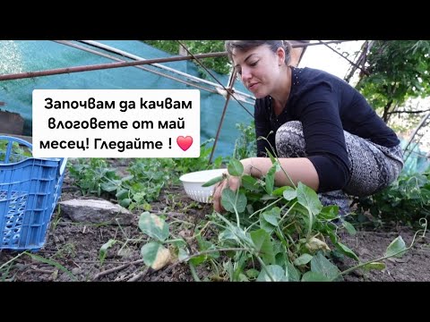 Видео: Като всяко лято и това е лудница..  Започвам да ви качвам влоговете от май месец до сега!