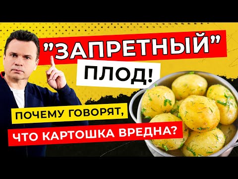 Видео: Запретный плод! Почему говорят, что картошка вредна? - Доктор Тигран Смотрит