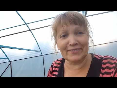 Видео: про нематоду і не тільки