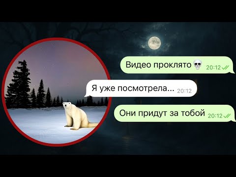 Видео: страшилка о проклятом видео медведь 2026