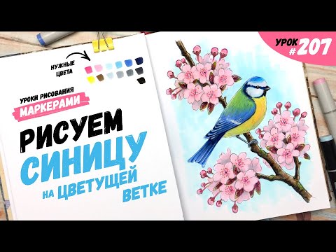 Видео: Как нарисовать синицу на цветущей ветке? / Видео-урок по рисованию маркерами #207