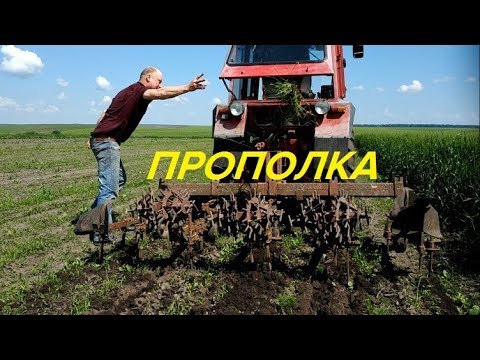 Видео: ОДИН ДЕНЬ ПРОПОЛКИ ТРАКТОРОМ Т-25/ONE DAY OF TRIPPING BY TRACTOR T-25