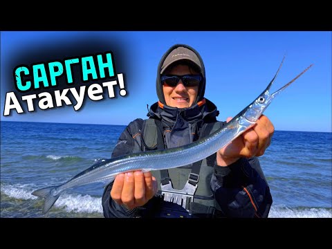 Видео: Удочка на части! Сарган атакует! Рыбалка на Балтийском в Германии!!