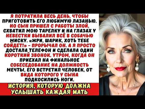 Видео: Сын выскреб мой ужин в миску для собаки и заорал: «Вот цена твоей стряпне!». Но он не знал, что...