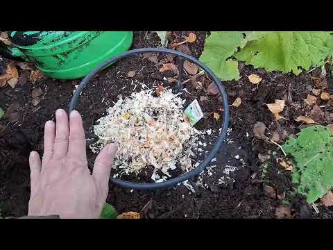 Видео: Малиново-клубничные страдания и посылочка.