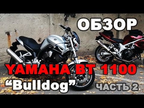 Видео: Обзор YAMAHA BT 1100 "Bulldog" | часть 2