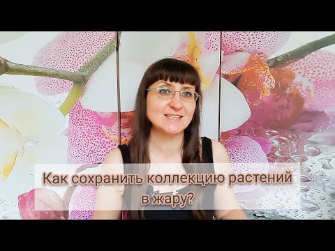 Видео: Жара: как спасти растения!