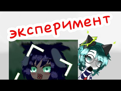 Видео: Эксперимент в лайке
