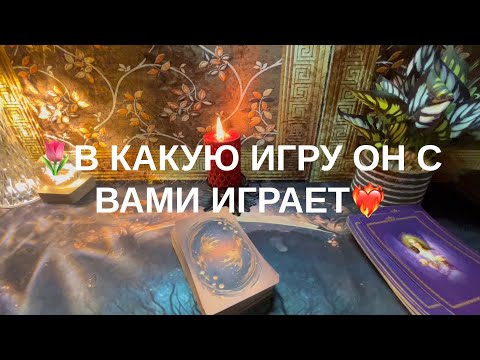 Видео: 10 ноября 2025 г.