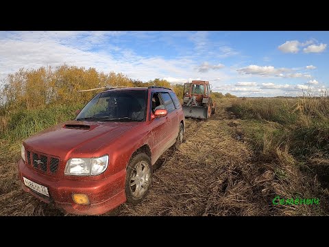 Видео: Трактор ЛТЗ-55А с лебёдкой. Спасаем застрявшего SUBARU FORESTER