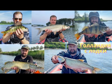 Видео: Вот это рыбалка в Голландии! Ловим с моторной лодки. #голландия #рыбалка#хищник