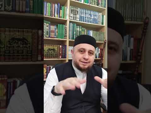 Видео: ОТВЕТЫ НА ВАШИ ВОПРОСЫ