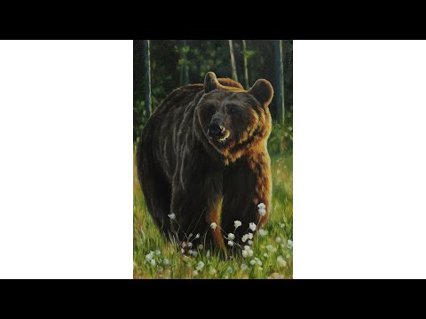 Видео: Русский медведь, холст 60х40, масло