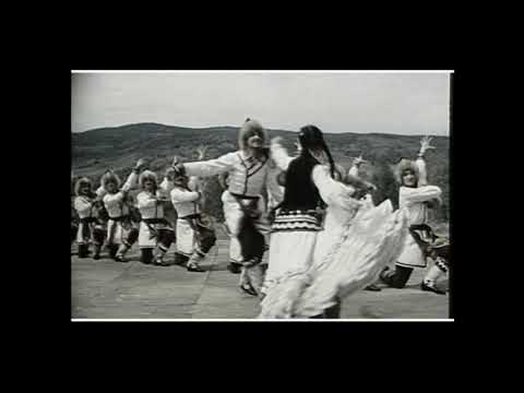 Видео: Зарифа 1980-е