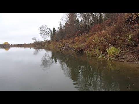 Видео: Осенний глубоководный твичинг в глухом коряжнике.