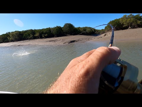 Видео: ИССЛЕДУЕМ НОВУЮ СИСТЕМУ — Ловим крупную дикую баррамунди на приманку