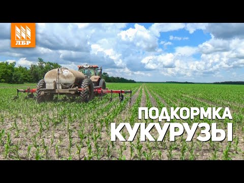 Видео: Работа аппликатора-растениепитателя J&M на подкормке кукурузы