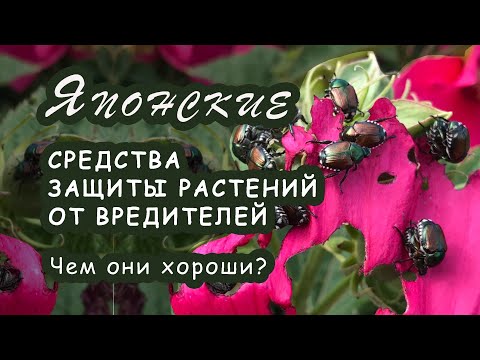 Видео: Японские средства защиты от комплекса вредителей