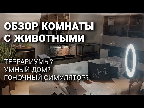 Видео: Новая комната питомцев | Мысли про умный дом