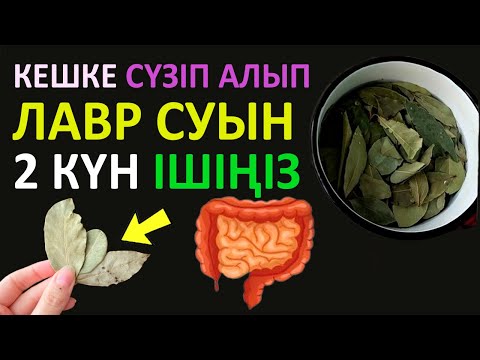 Видео: Күнде ЛАВР Жапырағы СУЫН Дайындап ІШІҢІЗ, АСҚАЗАН ІШЕК ТОЛЫҚ ТАЗАРАДЫ