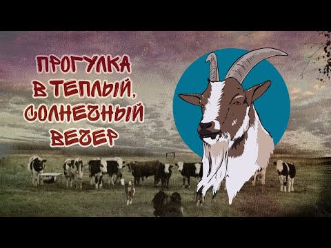 Видео: Прошу на прогулку! Осенние козы.🐐