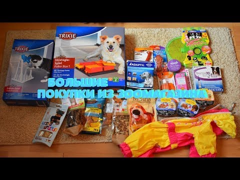 Видео: БОЛЬШИЕ ПОКУПКИ ИЗ ЗООМАГАЗИНА (из Питера)