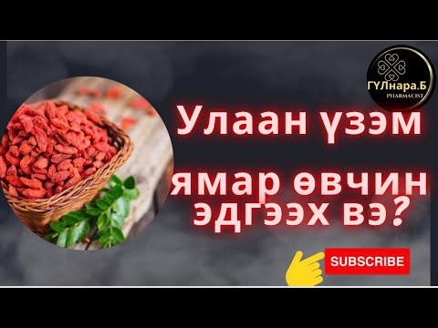 Видео: Улаан үзэм/Гожиберри/Улаан үзэмний эмчилгээ